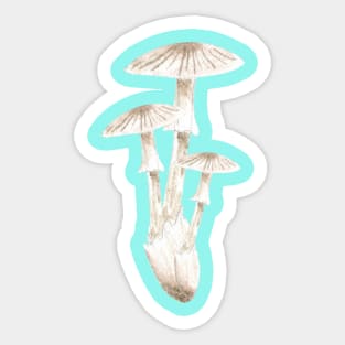 Mushroom Master Toadtools Sticker